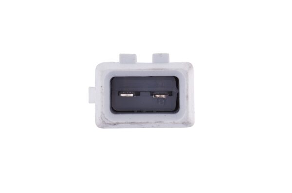 Halogen-Reverse Light - 12V (image 5)