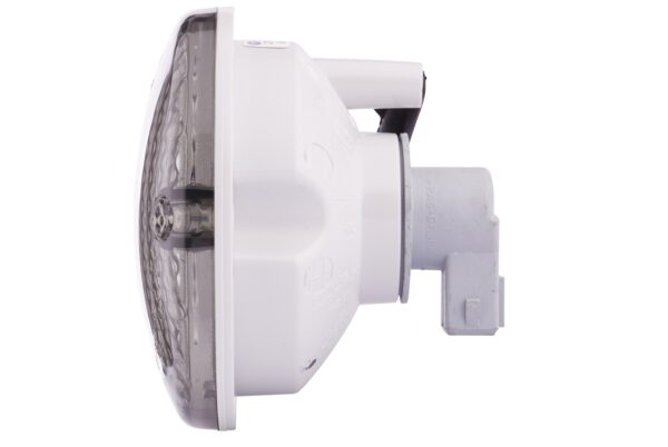 Halogen-Reverse Light - 12V (image 3)