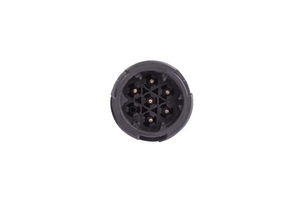 Rearlight - Halogen - left (image 5)
