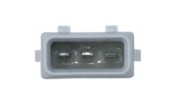 Position Light - Halogen - 12V (image 5)