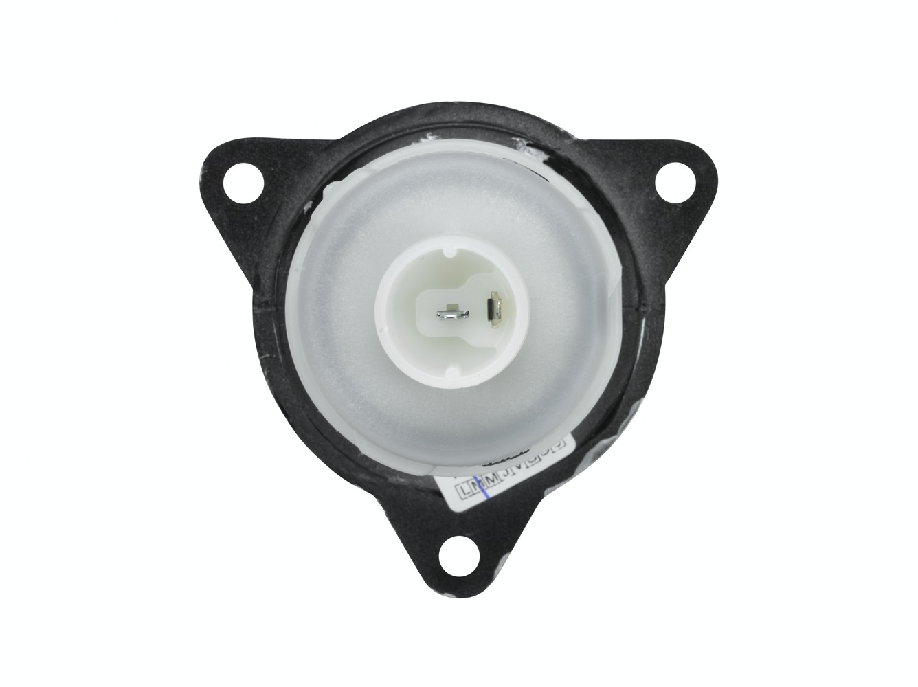 Halogen-Reverse Light - 12/24V - Image 4