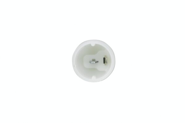 Halogen-Reverse Light - 12/24V (image 5)