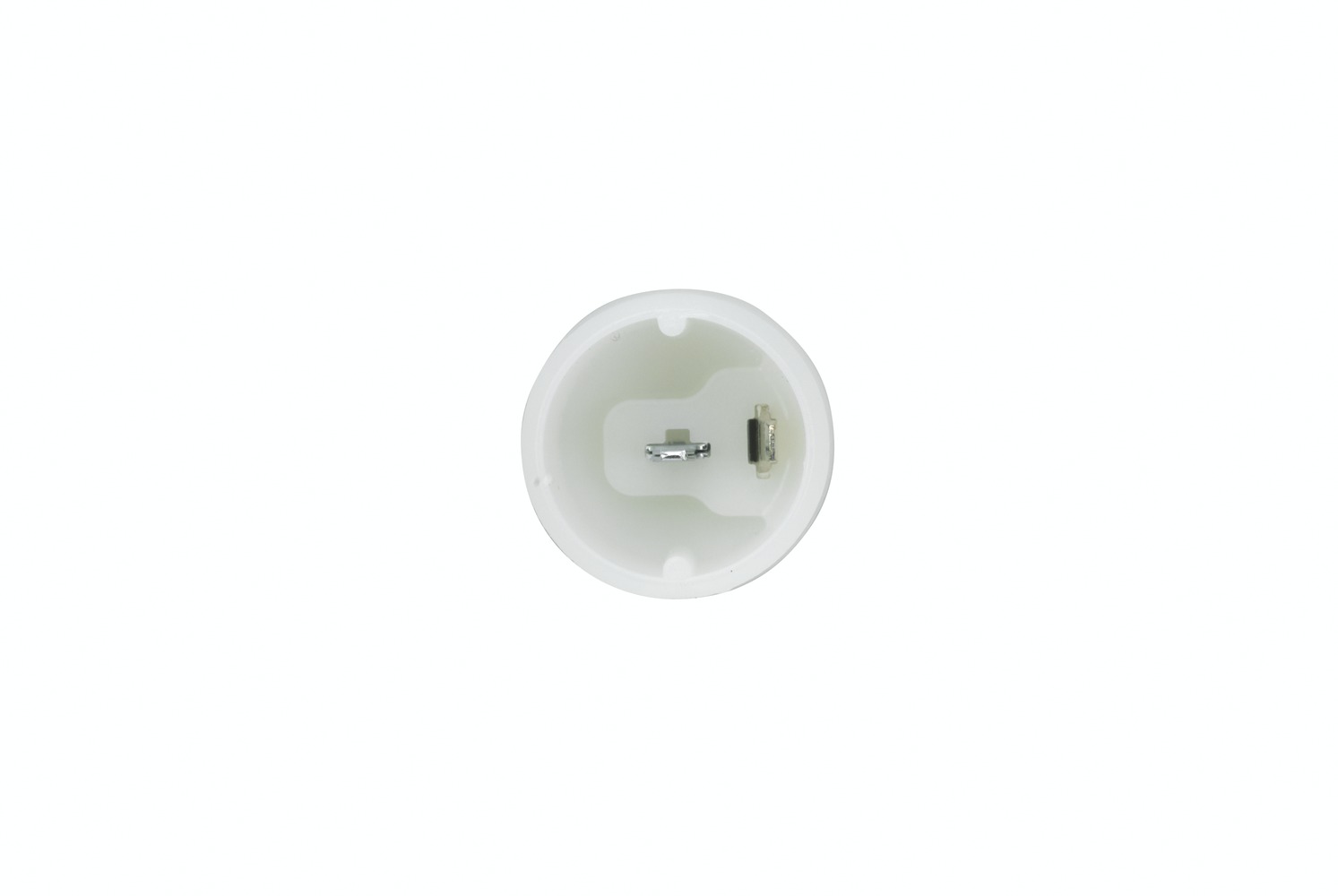 Halogen-Reverse Light - 12/24V - Image 5