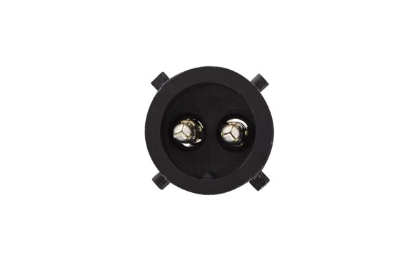Position Light - Halogen - 12V (image 5)