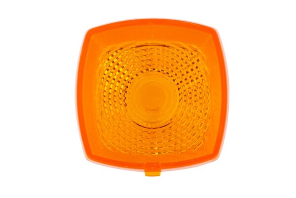 Lens (image 4)