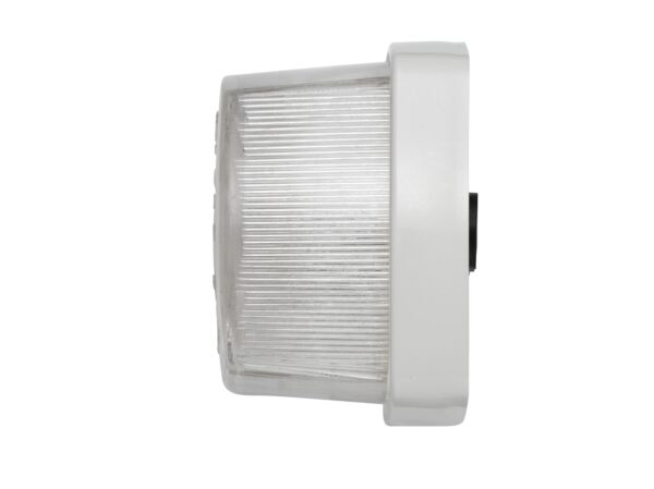 Position Light - Halogen - 12V (image 3)