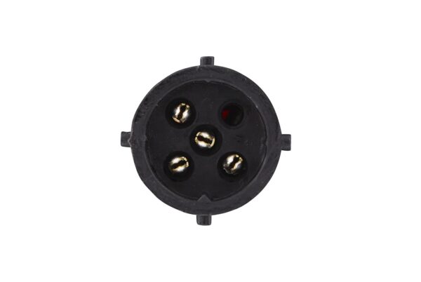 Rearlight - Bulb - 12V (image 5)