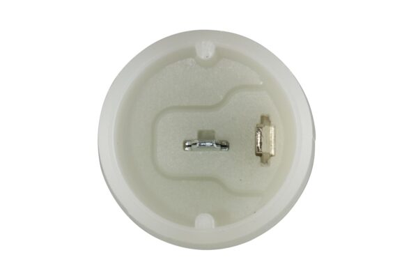 Tail Light - Halogen - 12/24V (image 5)