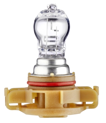 Halogen-Bulb - PS19W - Standard - 12V - 19W - Quantity: 1 - Image 2