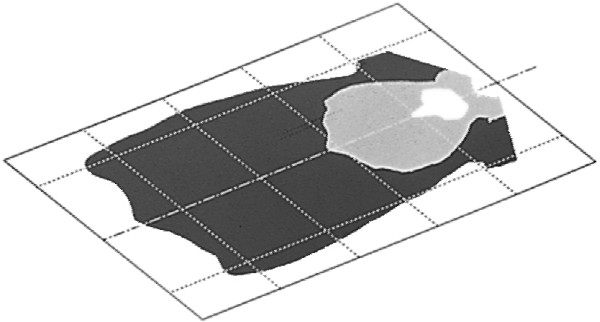 Halogen-Worklight - Modul 6213 - 24/12V - Image 6