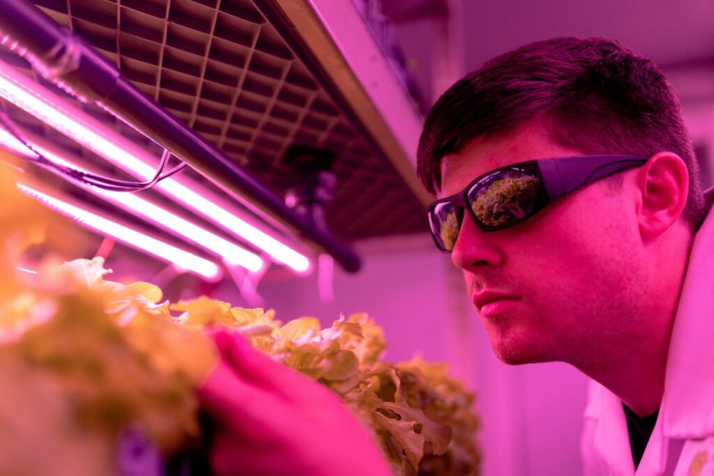 What IP Rating Do You Need for Agricultural LED Lights