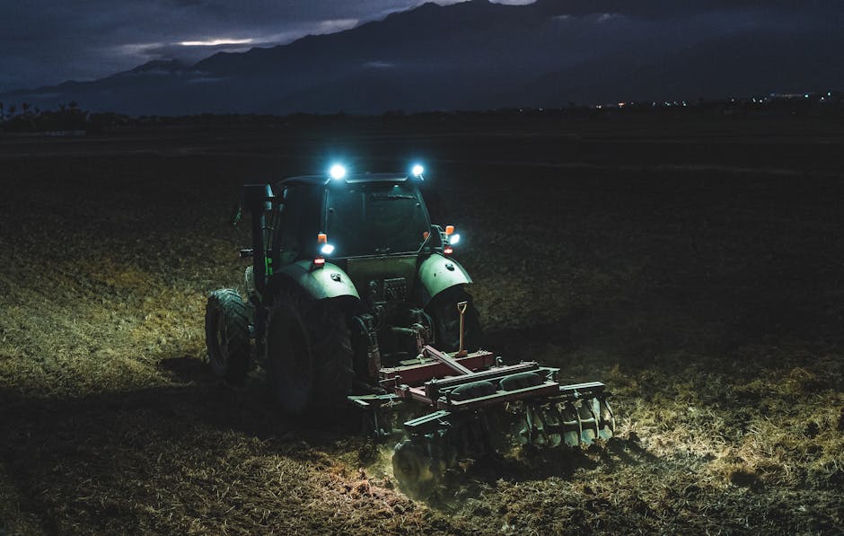 Halogen Work Lights: Budget Options That Still Perform